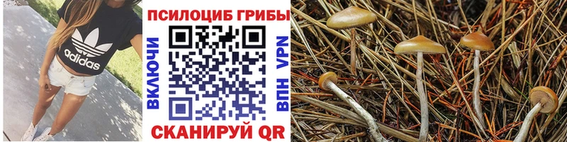 Галлюциногенные грибы ЛСД  Макушино 