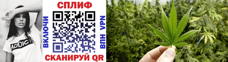 сколько стоит  Макушино  Шишки марихуана THC 21% 